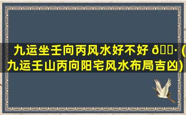九运坐壬向丙风水好不好 🕷 (九运壬山丙向阳宅风水布局吉凶)